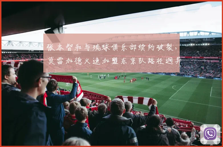 张本智和与琉球俱乐部续约破裂，莫雷加德火速加盟东京队路径迥异
