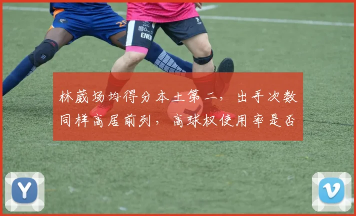 林葳场均得分本土第二，出手次数同样高居前列，高球权使用率是否值得争议